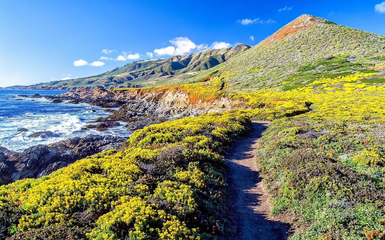 环保智慧城市智能化